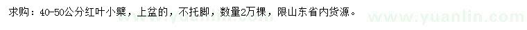 求購40-50公分紅葉小檗