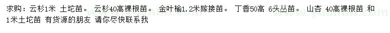 求購云杉、金葉榆、丁香等