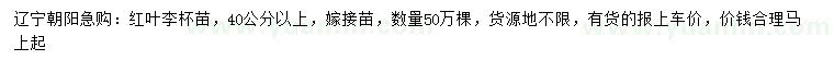 求購40公分以上嫁接紅葉李
