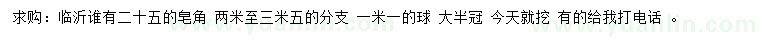 求購25公分皂角