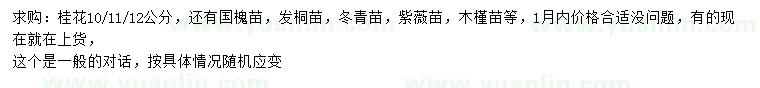 求購桂花、國槐苗、法桐苗等