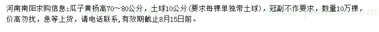 求購(gòu)高70-80公分瓜子黃楊