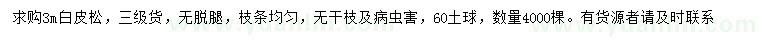 求購(gòu)3米白皮松