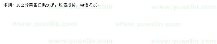 求購10公分美國紅楓