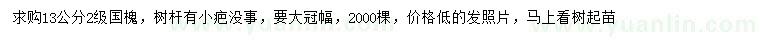 求購13公分國槐