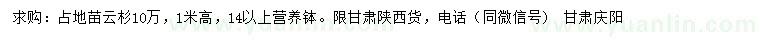 求購高1米云杉