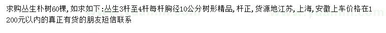 求購叢生樸樹