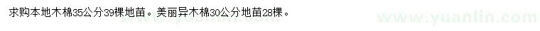 求購35公分本地木棉、30公分美麗異木棉