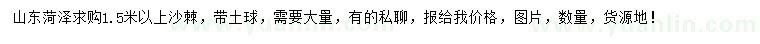 求購(gòu)1.5米以上沙棘