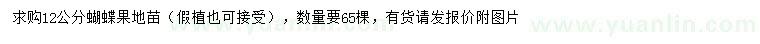 求購12公分蝴蝶果