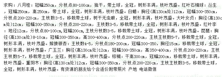 求購(gòu)八月桂、紅葉石楠球、白蠟等