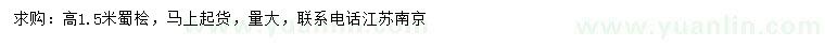 求購高1.5米蜀檜