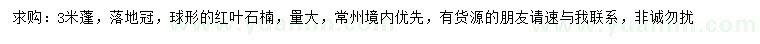 求購3米紅葉石楠