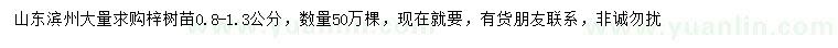 求購0.8-1.3公分梓樹