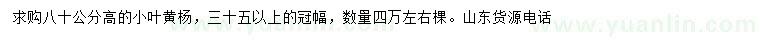 求購高80公分小葉黃楊