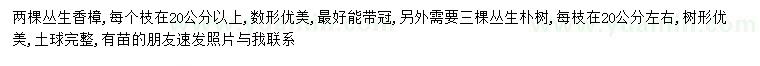 求購叢生香樟、叢生樸樹