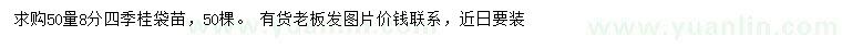 求購50量8公分四季桂