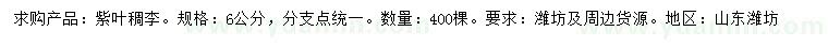 求購6公分紫葉稠李