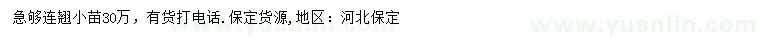 求購(gòu)連翹小苗