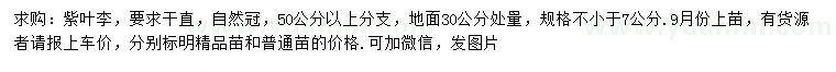 求購7公分以上紫葉李