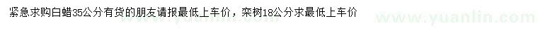 求購35公分白蠟、18公分欒樹