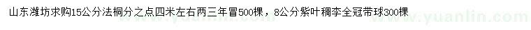 求購15公分法桐、8公分紫葉稠李