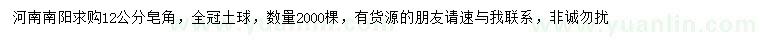 求購12公分皂角