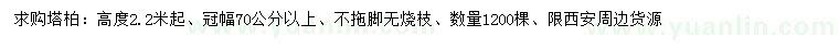 求購高2.2米以上塔柏