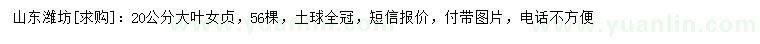 求購20公分大葉女貞
