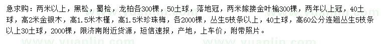 求購黑松、蜀檜、龍柏等