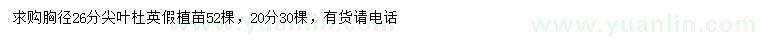 求購胸徑20、26公分尖葉杜英