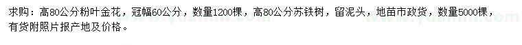 求購高80公分粉葉金花、蘇鐵
