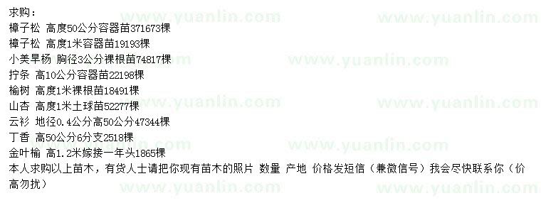 求購(gòu)樟子松、小美旱楊、擰條等