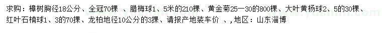 求購樟樹、臘梅球、黃金菊等