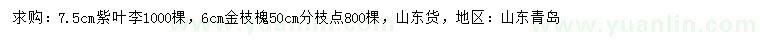 求購7.5公分紫葉李、6公分金枝槐