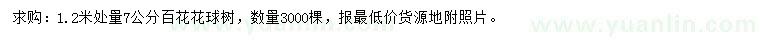 求購(gòu)1.2米處量7公分百花花球樹
