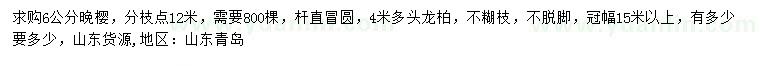 求購6公分晚櫻、4米多頭龍柏