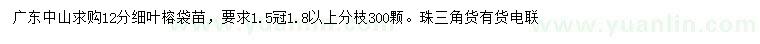 求購(gòu)12公分細(xì)葉榕
