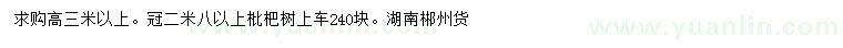 求購(gòu)高3米以上枇杷樹