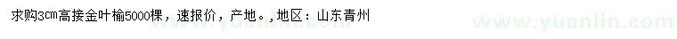 求購3公分高接金葉榆