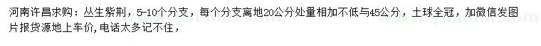 求購5-10個(gè)分支叢生紫荊