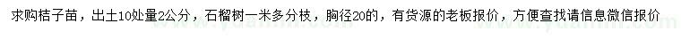 求購出土10處量2公分桔子苗、胸徑20公分石榴樹