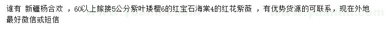 求購新疆楊、合歡、紫葉矮櫻等