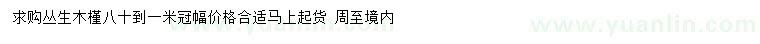 求購冠幅0.8-1米叢生木槿