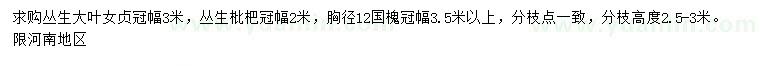 求購叢生大葉女貞、叢生枇杷、國槐