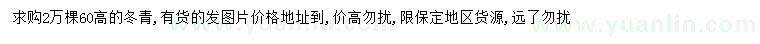 求購(gòu)高60公分冬青