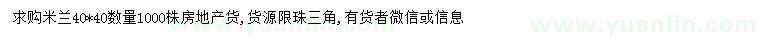 求購米蘭花