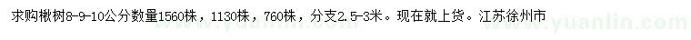 求購(gòu)8、9、10公分楸樹(shù)