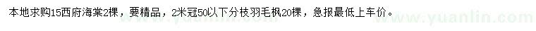 求購15公分西府海棠