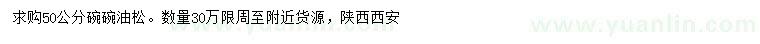 求購50公分油松